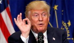 Donald Trump Perfect Hand Gesture with Flag.jpeg