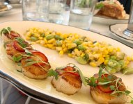 13 Pilotscallop ceviche.jpg