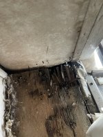 67168D26-4753-4252-9C02-1CA41921B4E3.jpeg