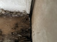 158BA867-C1C0-4184-9D59-C36139545439.jpeg