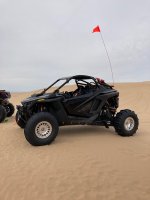 IMG_3647.jpg