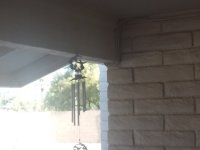 20230417_075141.jpg