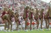 sooner_cheer.jpg