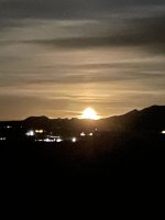 692B8BAC-0452-474A-A8F3-CB55F1EE6702.jpeg