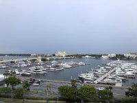 8 Palm Harbor Marina.JPG