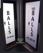 balls no balls.jpg