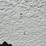 20240412_151646.jpg