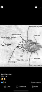 sperm chart.jpg