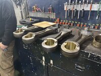IMG_4395.jpeg
