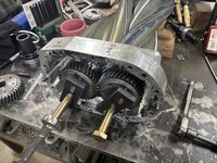 IMG_4422.jpeg
