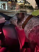 IMG_0091.jpeg