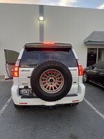 IMG_2166.jpeg
