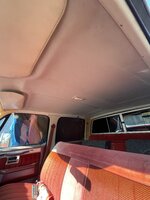 IMG_7930.jpeg
