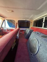 IMG_7923.jpeg