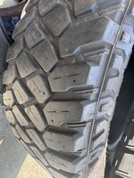 IMG_2130.jpeg