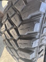 IMG_2131.jpeg