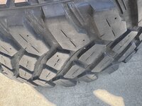 IMG_2132.jpeg
