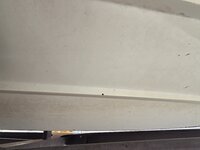 20250504_145213.jpg