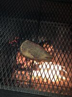 IMG_1866.jpeg