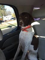 IMG_0331.jpeg