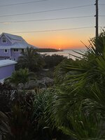 IMG_1303.jpeg
