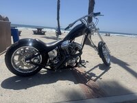 IMG_2426.jpeg