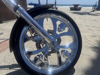 IMG_2432.jpeg