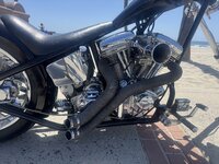 IMG_2435.jpeg