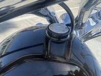 IMG_2442.jpeg