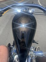 IMG_2447.jpeg