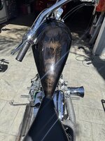 IMG_2425.jpeg
