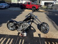IMG_2393.jpeg