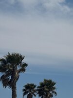 IMG_2341(1).jpg
