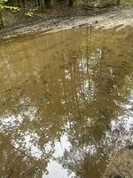 IMG_9552.jpeg
