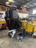 IMG_2873.jpeg