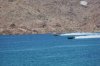 DSC_4333.jpg