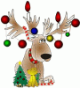 Christmas reindeer.gif