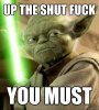 yoda.jpg