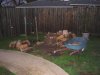 firewood 007.jpg