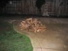 firewood 008.jpg