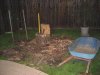 firewood 015.jpg