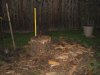 firewood 017.jpg