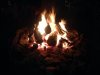 ImageUploadedByTapatalk1420169637.269514.jpg