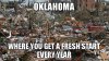 oklahoma-where-you.jpg