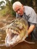 piranha2010.jpg