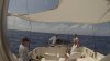 Jims sail fish Belize 2015.jpg