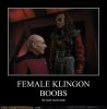 downloadfile-6.jpg
