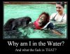 ImageUploadedByTapatalk1447693947.164750.jpg