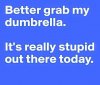 ImageUploadedByTapatalk1447821533.994075.jpg