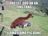 ImageUploadedByTapatalk1447821613.000329.jpg
